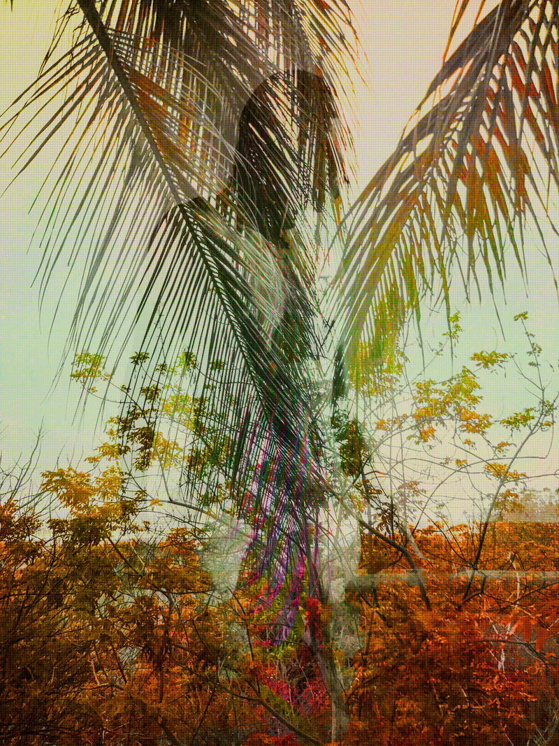 © Matthew Swarts - Untitled, 2017, from the series: The Alternatives.