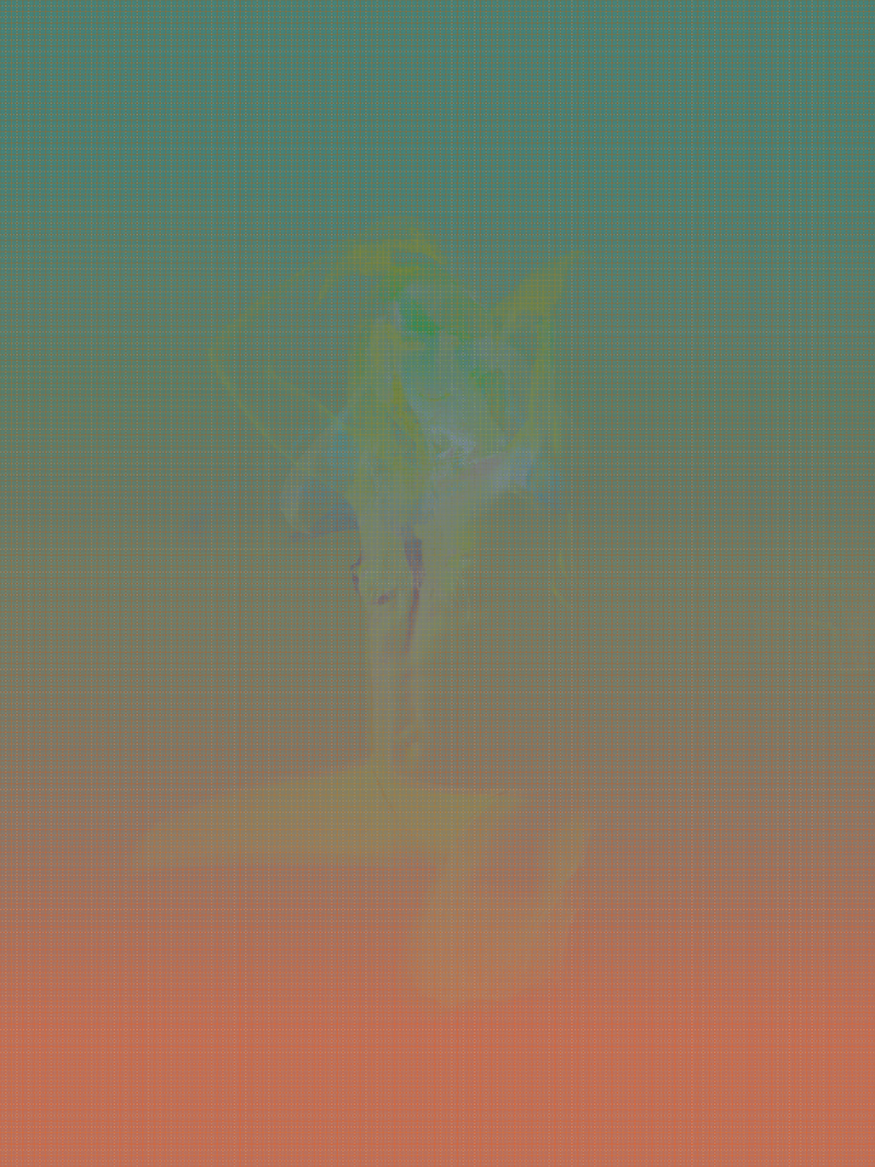 © Matthew Swarts - Image from the The Alternatives photography project