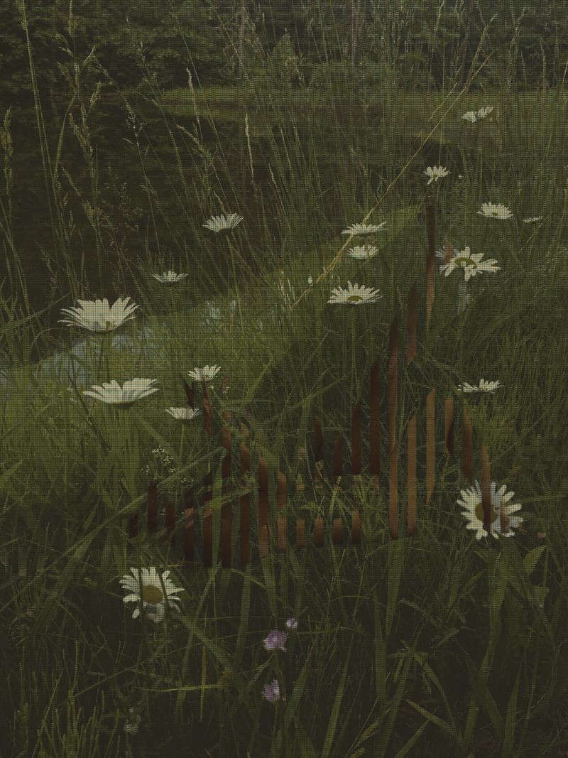 © Matthew Swarts - Image from the CRADLE photography project