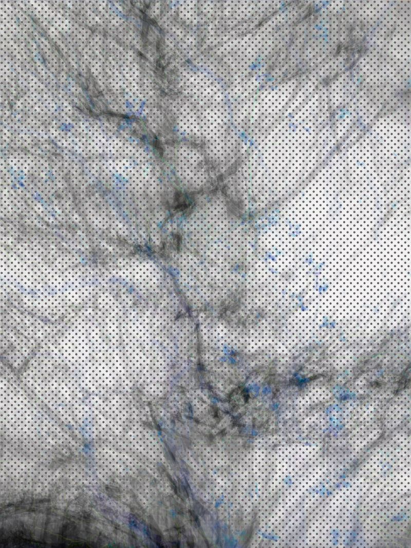 © Matthew Swarts - Image from the BRANCHES photography project