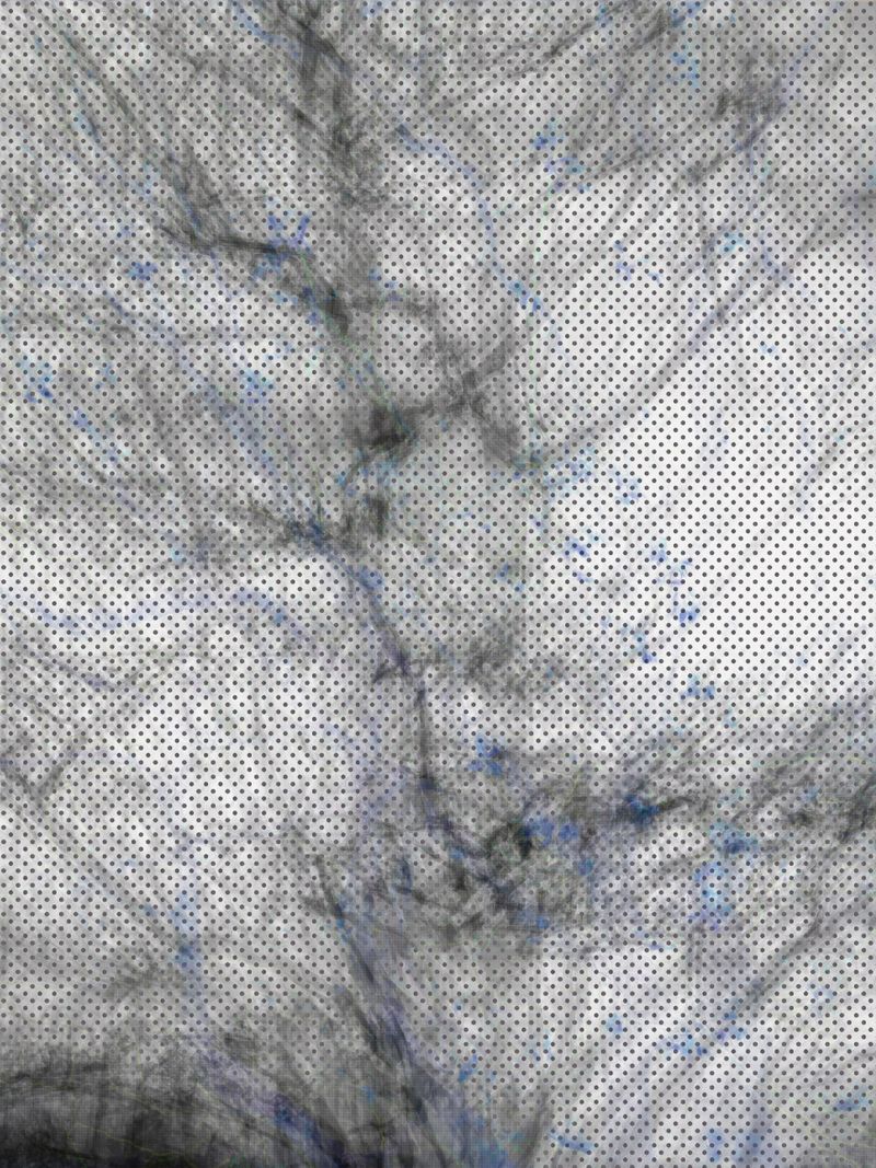 © Matthew Swarts - Image from the BRANCHES photography project