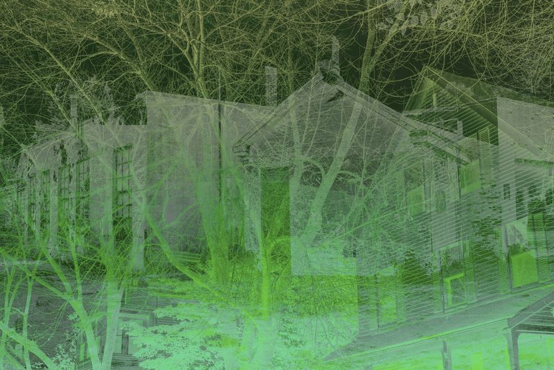 © Matthew Swarts - BRANCHES (Cambridge and Somerville, Massachusetts, 2021-ongoing).