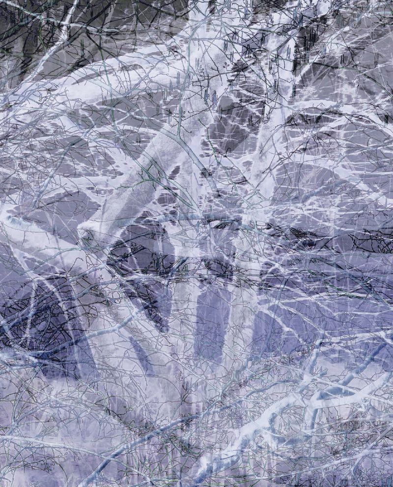 © Matthew Swarts - BRANCHES (Cambridge and Somerville, Massachusetts, 2021-ongoing).