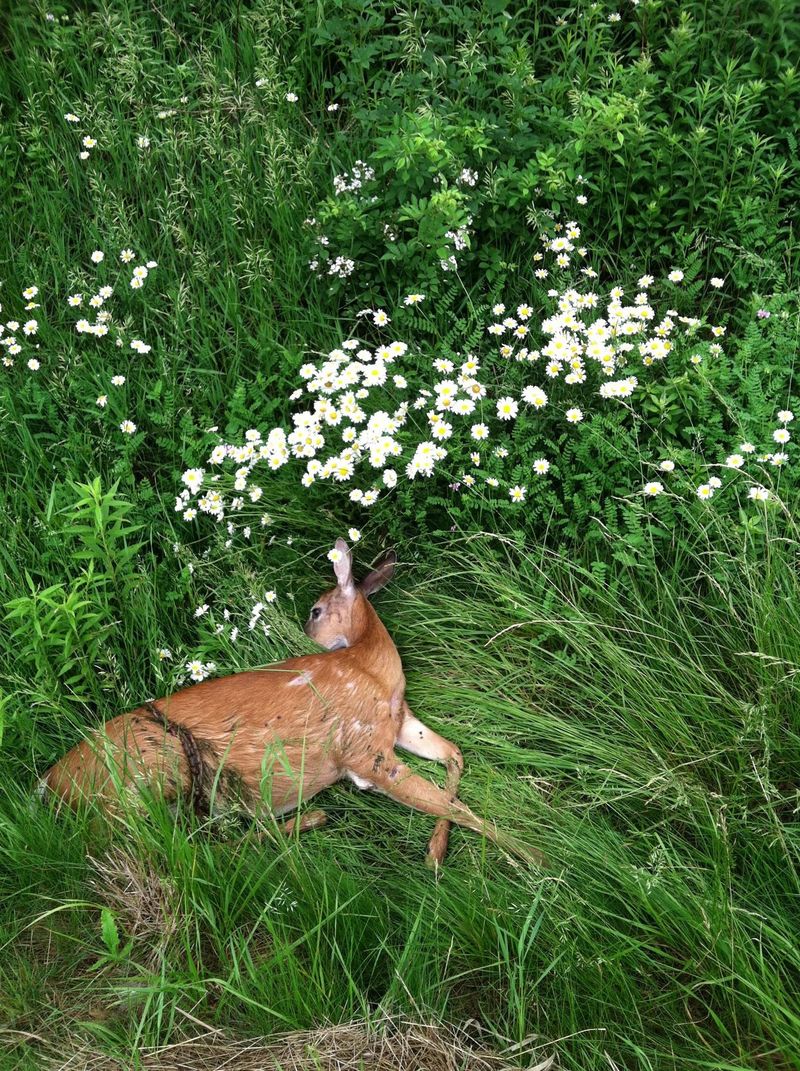 © Vikesh Kapoor - On Visiting Home, 2017