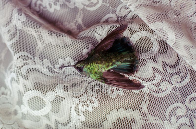 © María García - Image from the Secreto (When the house turned to indigo blue dust) photography project