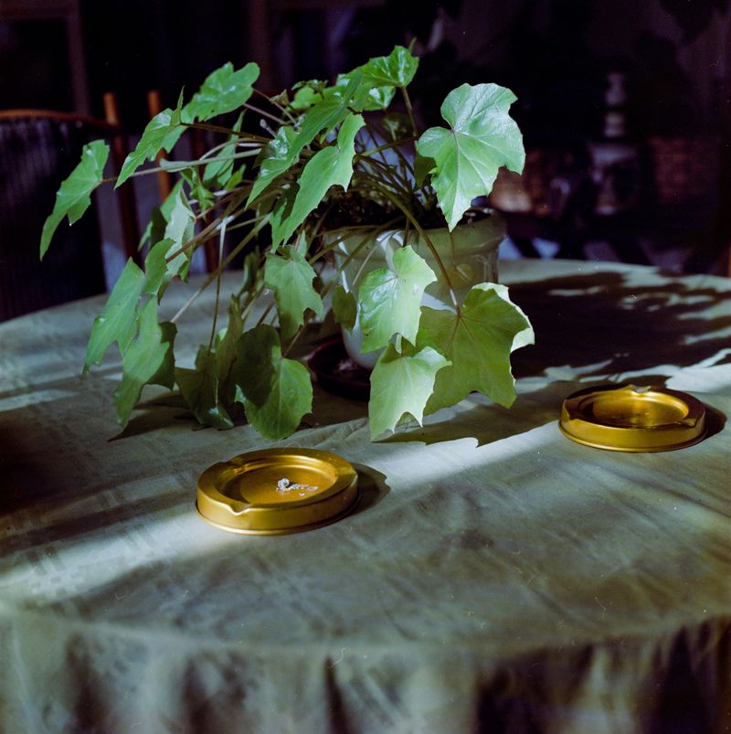 © María García - Image from the Secreto (When the house turned to indigo blue dust) photography project