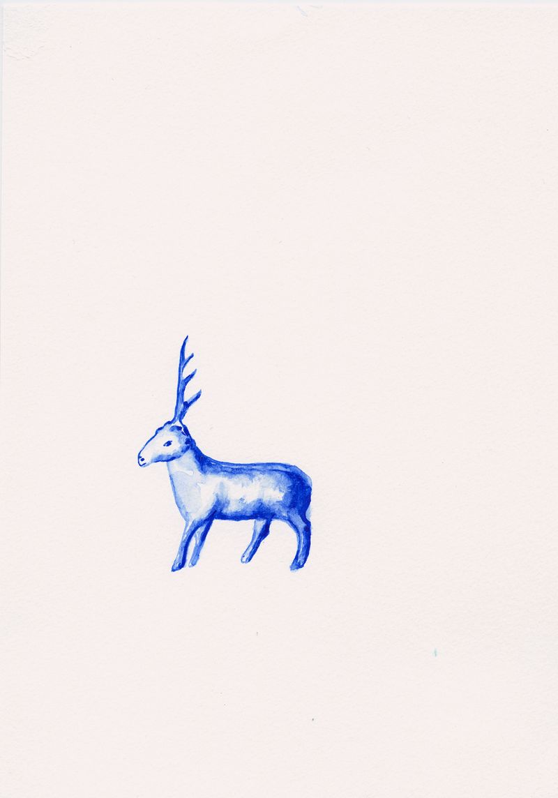 © María García - Image from the Secreto (When the house turned to indigo blue dust) photography project