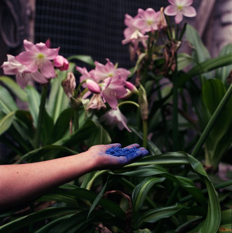 © María García - Image from the Secreto (When the house turned to indigo blue dust) photography project