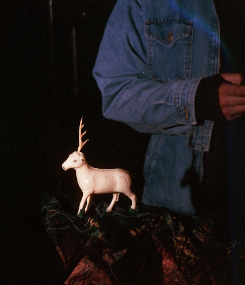 © María García - Image from the Secreto (When the house turned to indigo blue dust) photography project