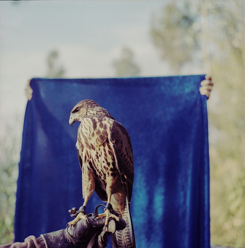 © María García - Image from the Study On Flying photography project