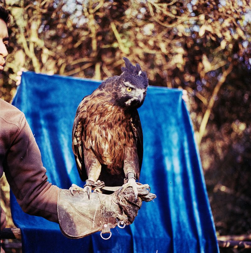 © María García - Image from the Study On Flying photography project