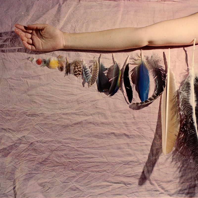 © María García - Playing with my son on making a wing from the collection of feathers.