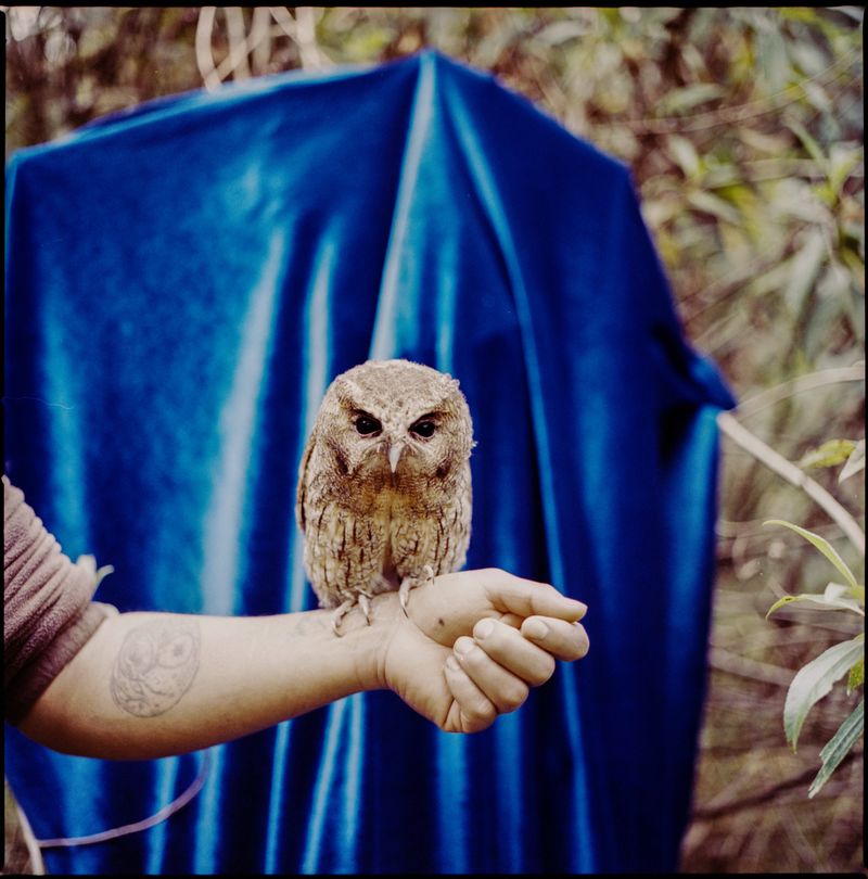 © María García - Image from the Study on flying photography project