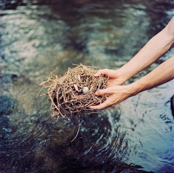 © María García - A nest we found walking by the river in Cuenca, Ecuador