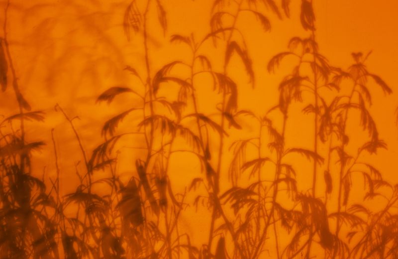 © Ana Lía Orézzoli - Image from the a body spits out sun photography project