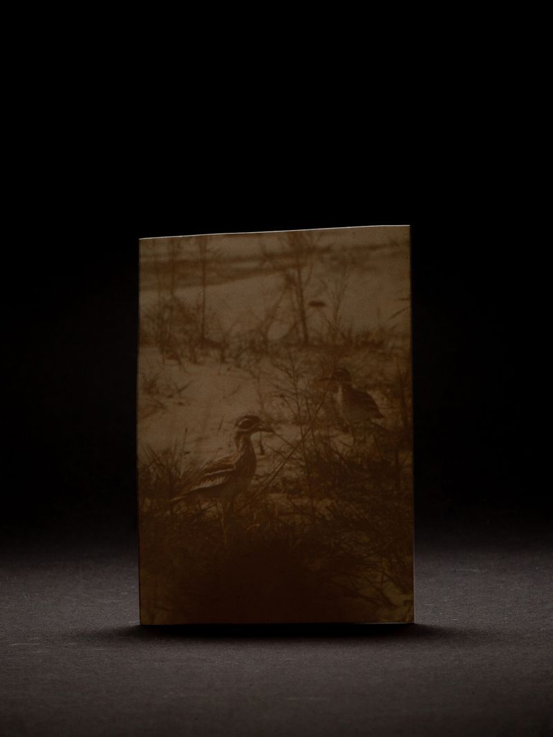 © Ana Lía Orézzoli - Image from the a body spits out sun photography project