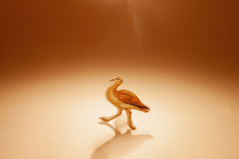 © Ana Lía Orézzoli - Image from the a body spits out sun photography project
