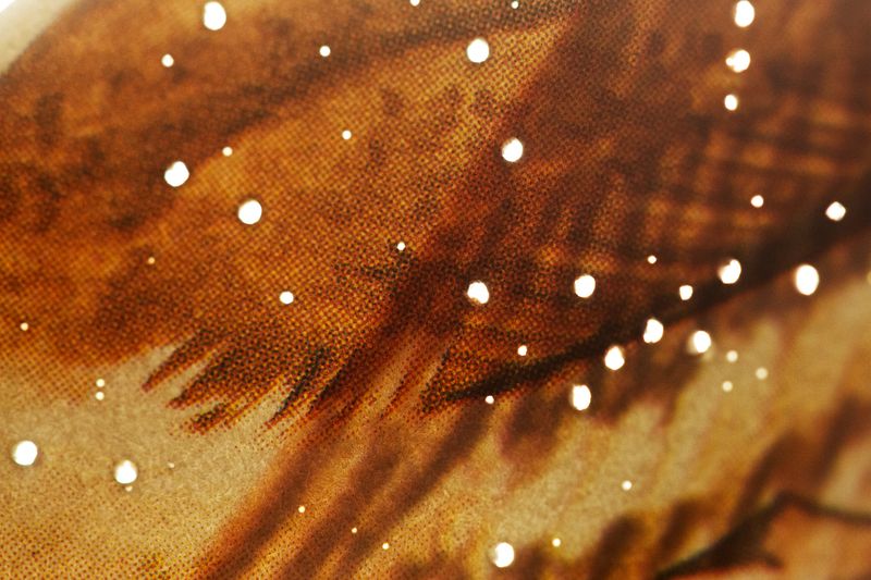 © Ana Lía Orézzoli - Image from the a body spits out sun photography project