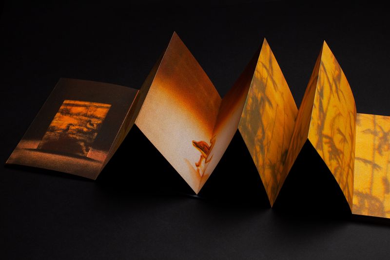© Ana Lía Orézzoli - Image from the a body spits out sun photography project
