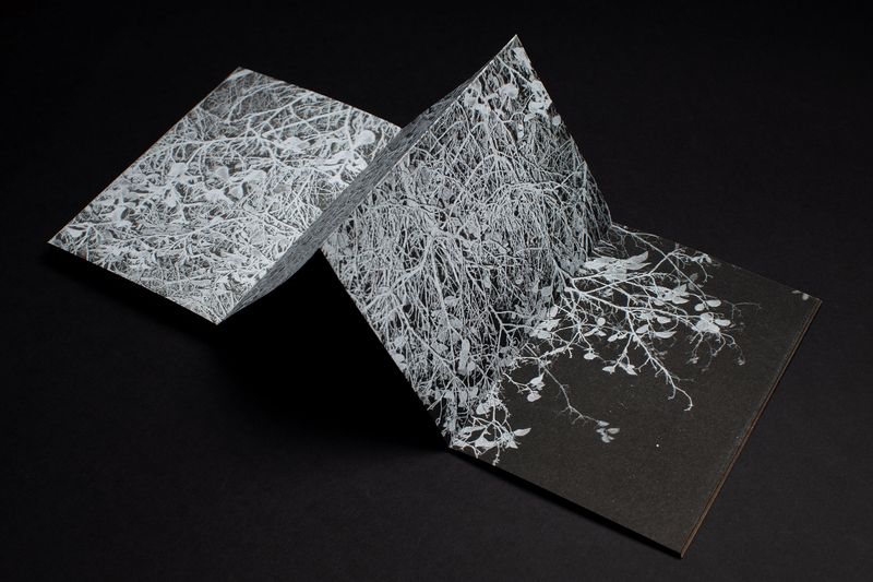 © Ana Lía Orézzoli - Image from the a body spits out sun photography project