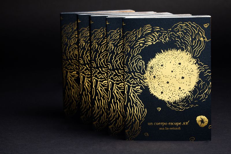 © Ana Lía Orézzoli - book cover