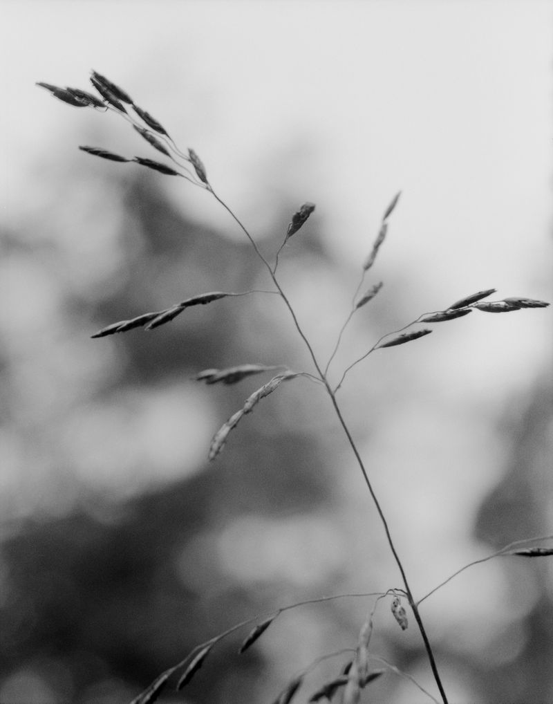 © Donavon Smallwood - Image from the Languor photography project