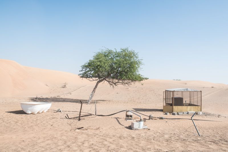 © Sandra Zarneshan - Image from the Are you still here? photography project