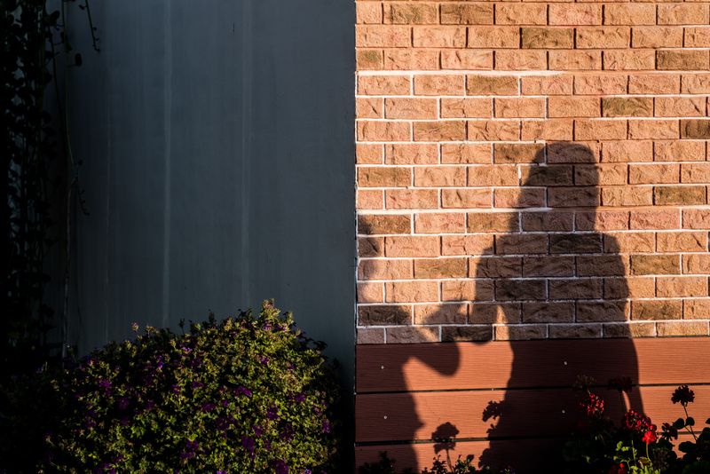 © Sandra Zarneshan - Image from the Are you still here? photography project