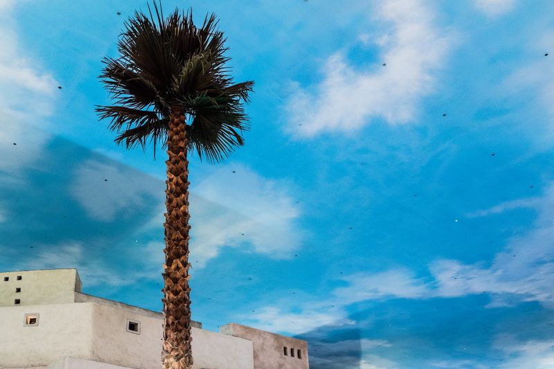 © Sandra Zarneshan - Image from the Are you still here? photography project