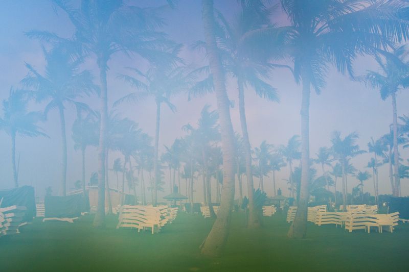 © Sandra Zarneshan - Image from the Are you still here? photography project