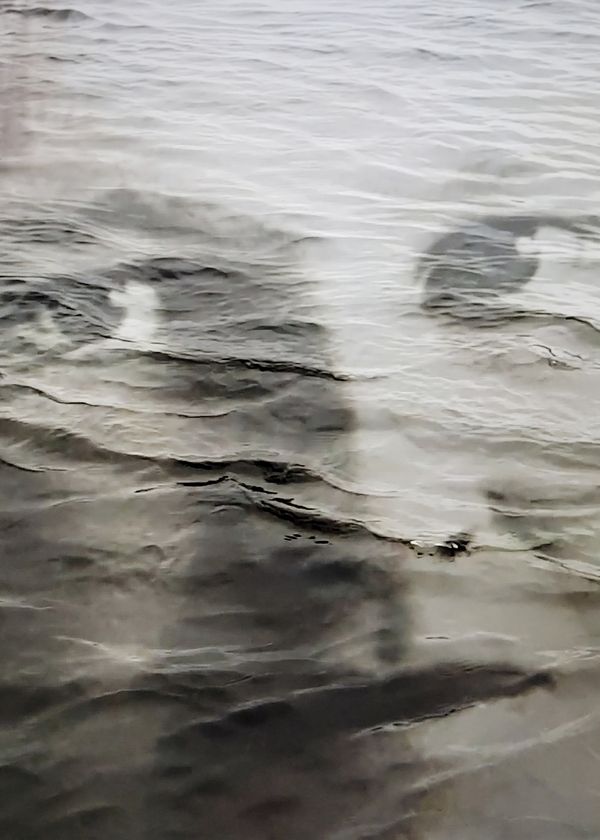 © Eija Mäkivuoti - Image from the The Land of the Northern Lights – Entangled Stories of Belonging photography project