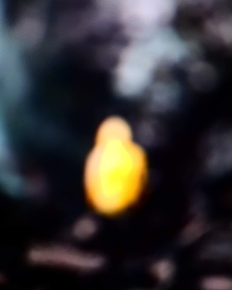 © Eija Mäkivuoti - The Unbearable Lightness of Giving a F**k – A Thousand Faroe Islands: The Yellow Raincoat (The Insta-Gaze 4), 2018