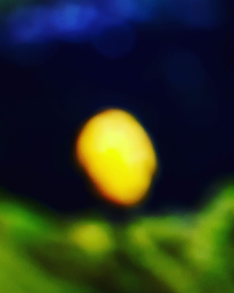 © Eija Mäkivuoti - The Unbearable Lightness of Giving a F**k – A Thousand Faroe Islands: The Yellow Raincoat (The Insta-Gaze 1), 2018