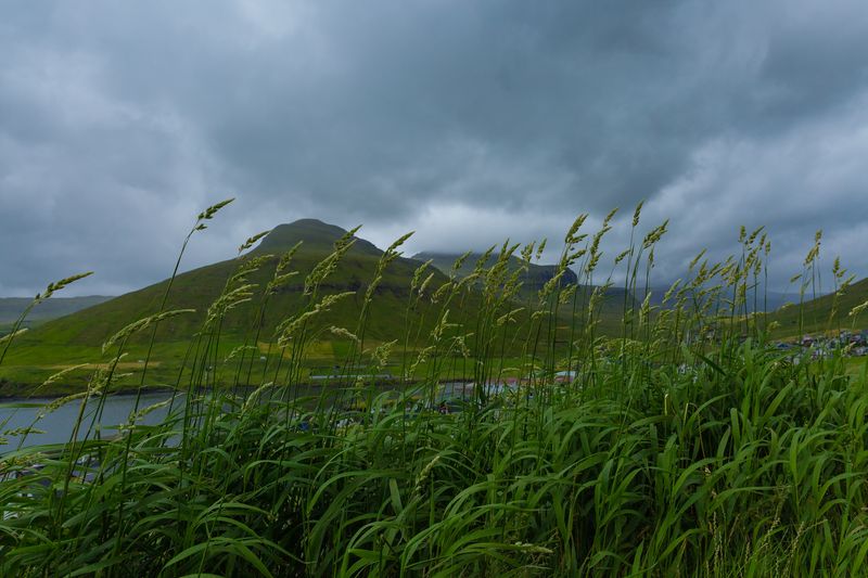 © Eija Mäkivuoti - The Yellow Raincoats (The Majestic Wilderness 2), 2018
