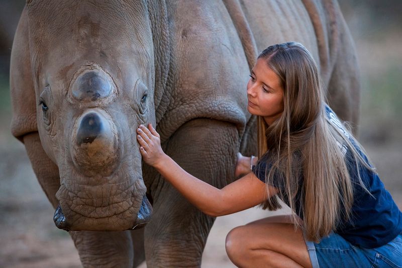 © Neil Aldridge - Image from the The Return of the Rhino photography project