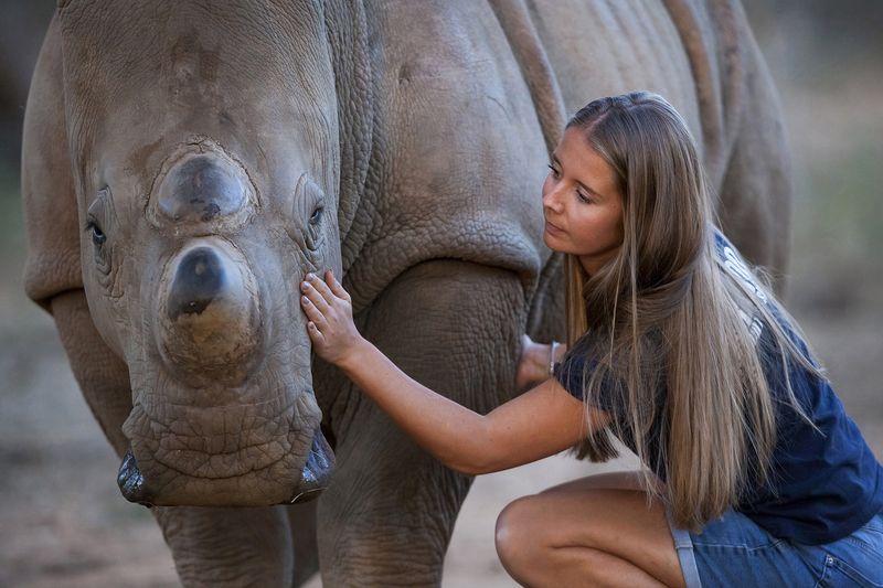 © Neil Aldridge - Image from the The Return of the Rhino photography project