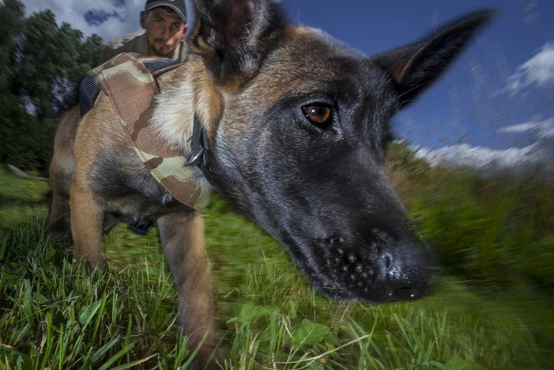 © Neil Aldridge - Image from the The Return of the Rhino photography project