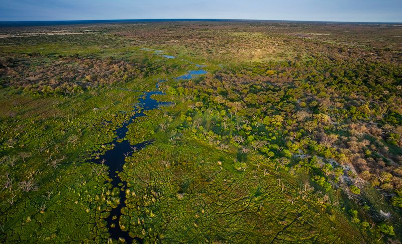 © Neil Aldridge - Image from the The Return of the Rhino photography project