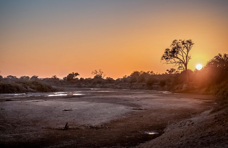 © Neil Aldridge - Image from the Pangolin Protectors photography project