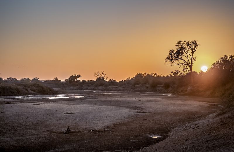 © Neil Aldridge - Image from the Pangolin Protectors photography project