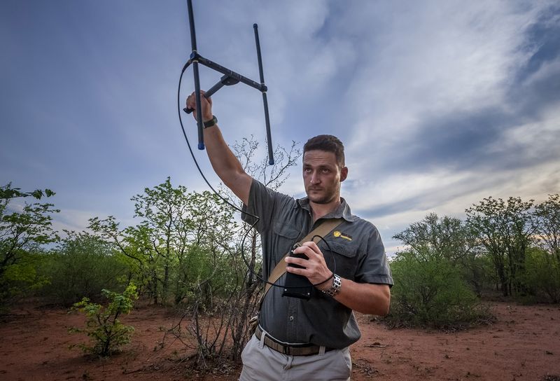 © Neil Aldridge - Image from the Pangolin Protectors photography project