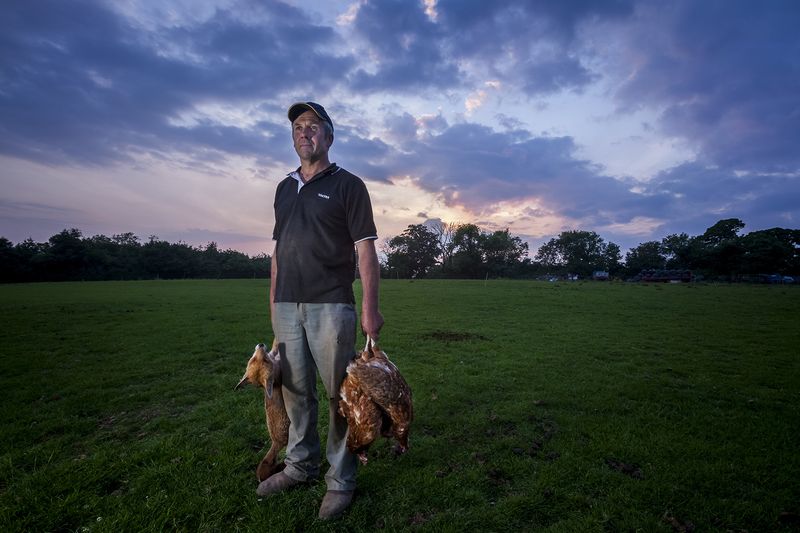 © Neil Aldridge - Image from the Living with Foxes photography project