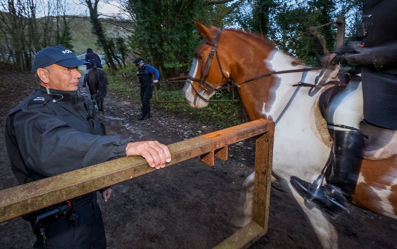 © Neil Aldridge - Image from the Living with Foxes photography project