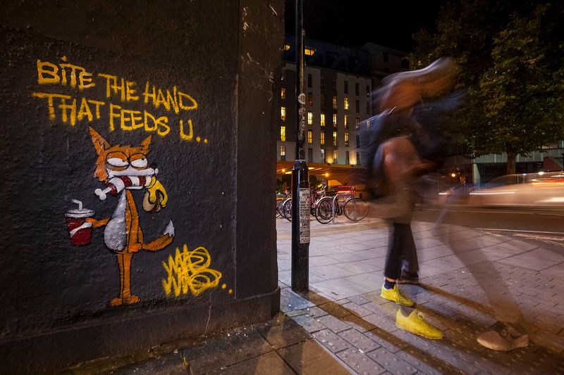 © Neil Aldridge - Image from the Living with Foxes photography project