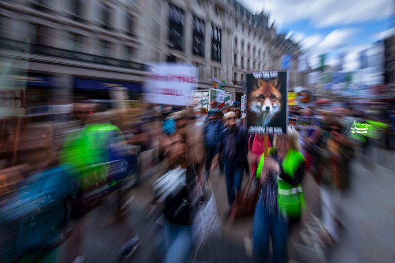 © Neil Aldridge - Image from the Living with Foxes photography project