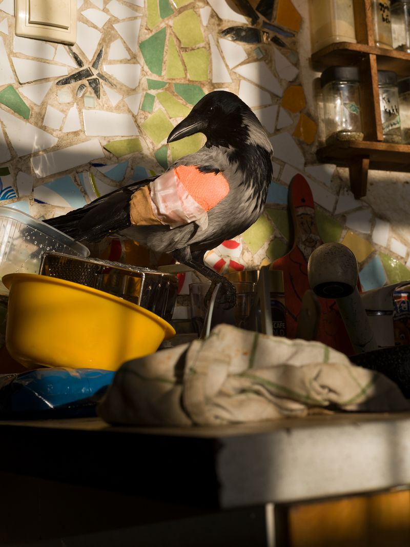 © László Gábor Belicza - Image from the 33 Sketchbook photography project