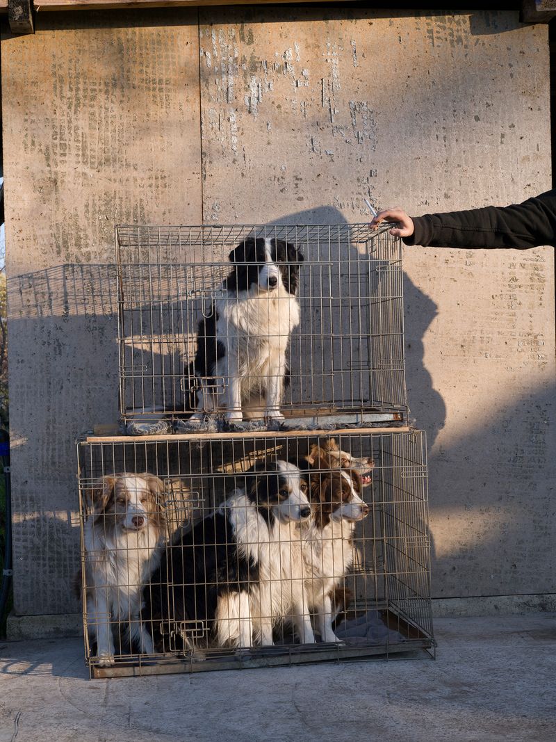 © László Gábor Belicza - Image from the 33 Sketchbook photography project