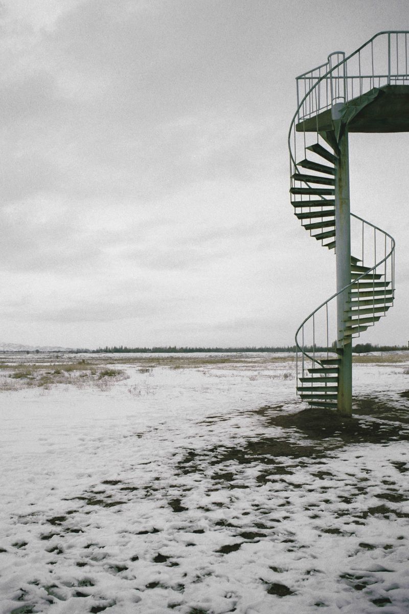 © Stella Laurenzi - How Did I Get Here