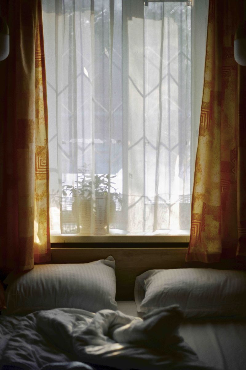 © Stella Laurenzi - 419