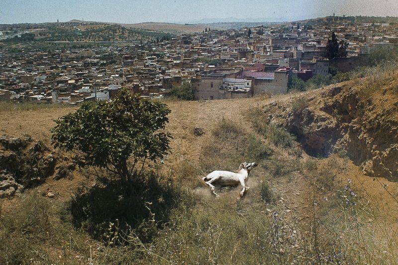 © Stella Laurenzi - Image from the Iftar photography project